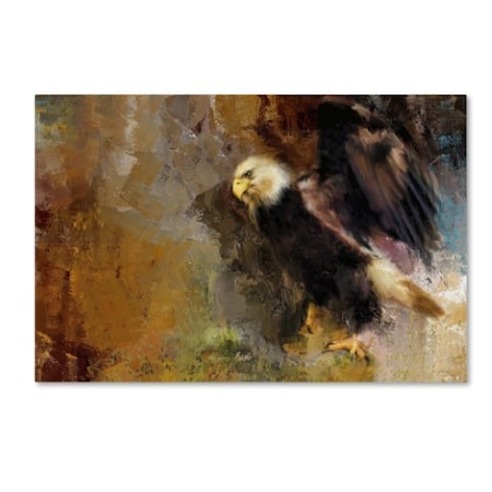 Jai Johnson 'Eagle Dance' Canvas Art,16x24